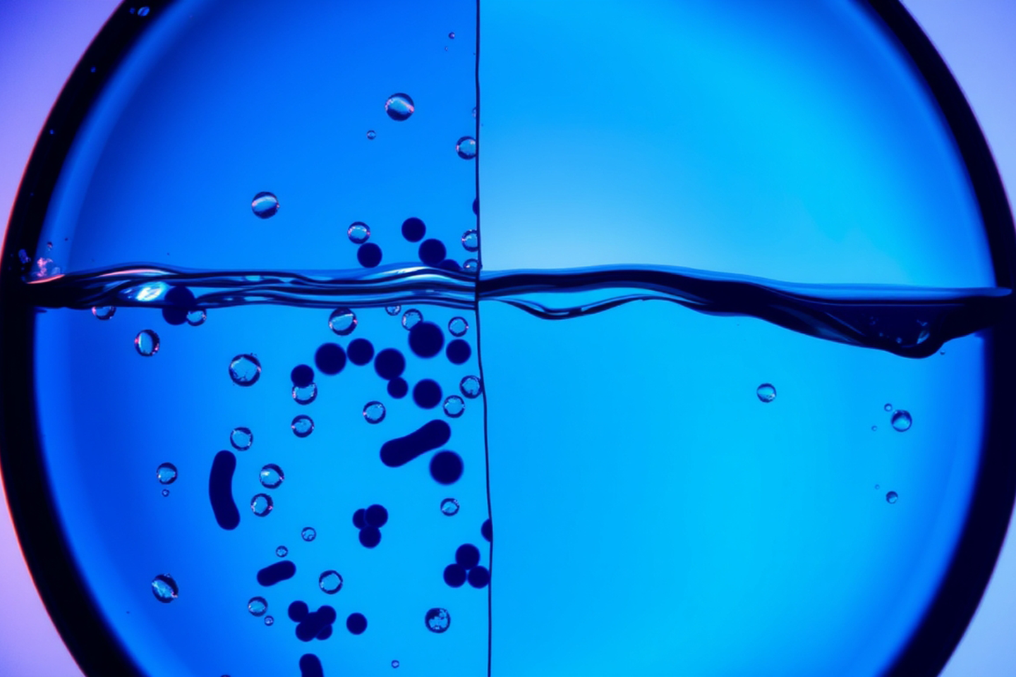 mikroskopische Aufnahme von gutem Wasser und auf der anderen Seiten kontaminiertem Wasser, KI-generiertes Bild/bei Verlinkung führt Link zur Projektwebsite