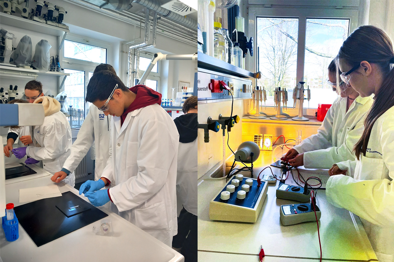 ExperiWatt 2024: Schülerinnen und Schüler bei Experimenten mit der Brennstoffzelle im UFZ Schülerlabor