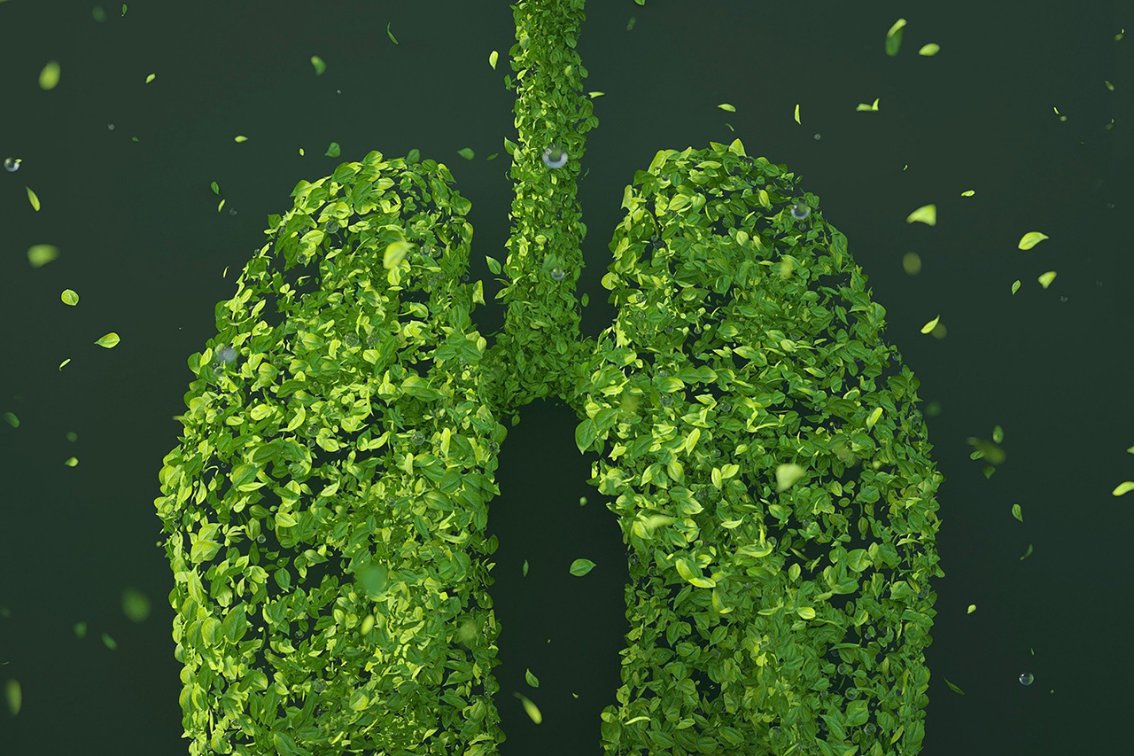 Image of a human lung made up of green leaves