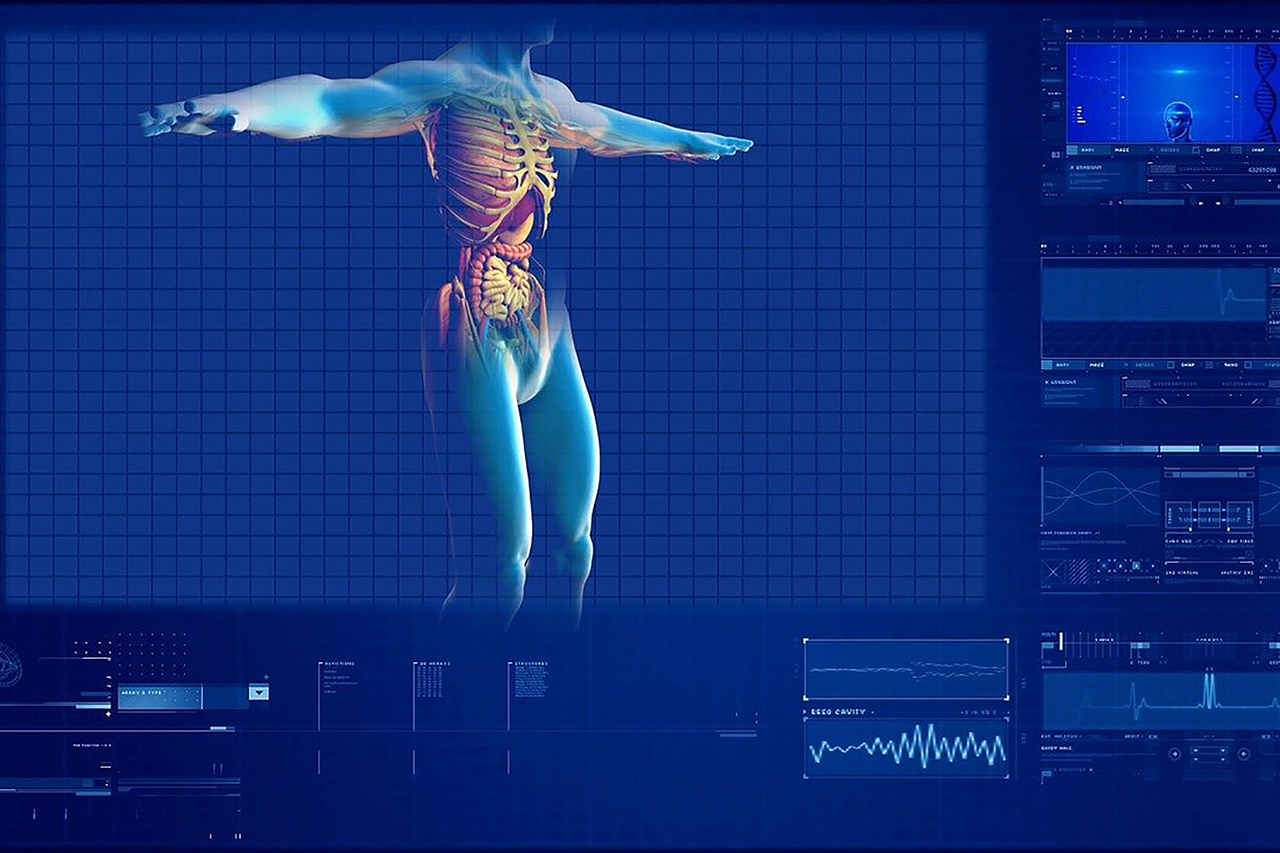 Model of a human being with internal organs on a PC monitor