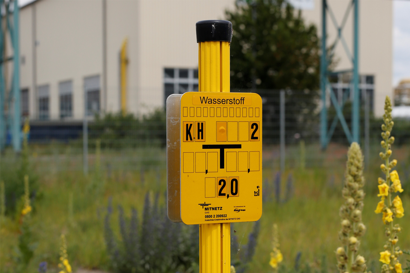 Foto einer gelben Plakette mit Schriftzug Wasserstoff, befestigt an einem Ständer auf einer Blumenwiese