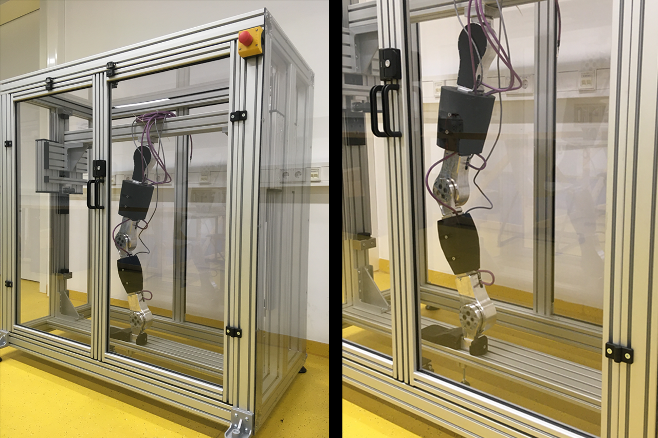 Demonstrator with a model of the exoskeleton