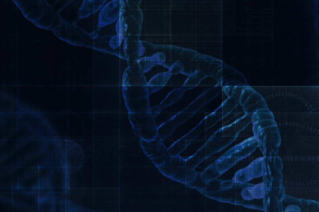 Dark blue image showing chromosome structures / Link leads to the project website