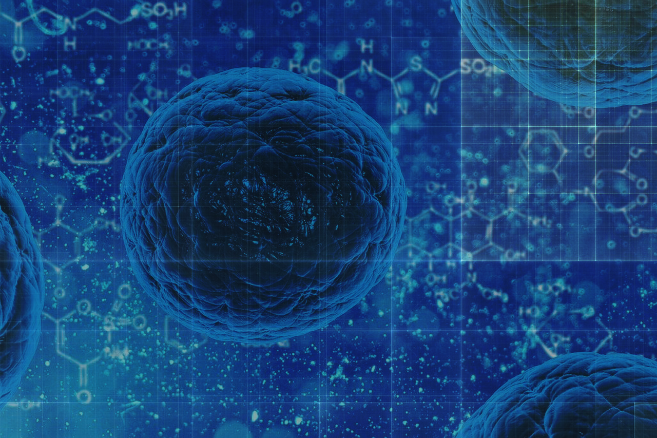 Microscopic image of a cell nucleus / Link leads to the project website