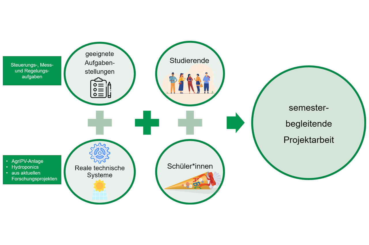 Diagram showing relationships between groups / Link leads to the project website