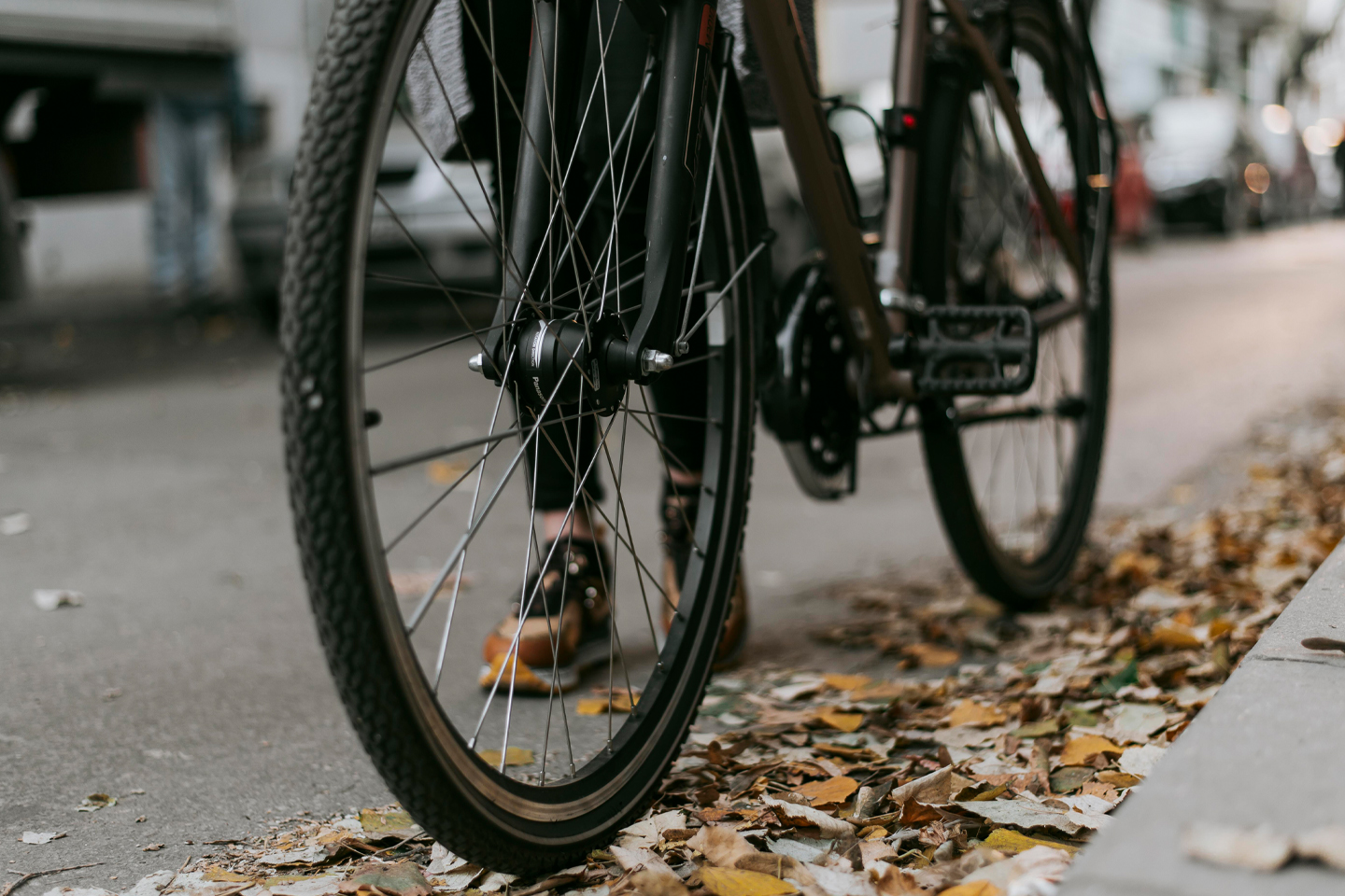 Fahrradreifen auf Asphalt mit bunten Herbstblättern