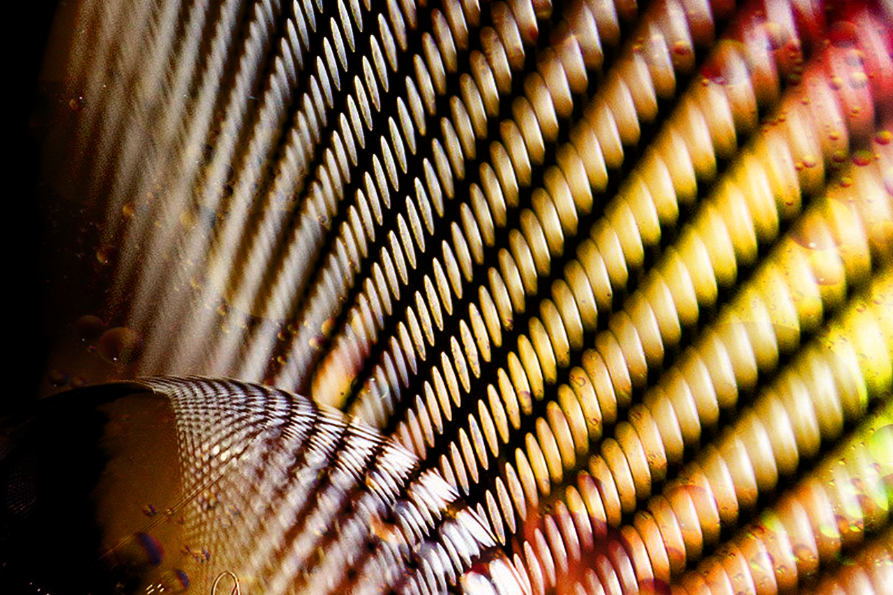 A bright gold-yellow grid with round holes and a peel-off film / The link leads to the project website