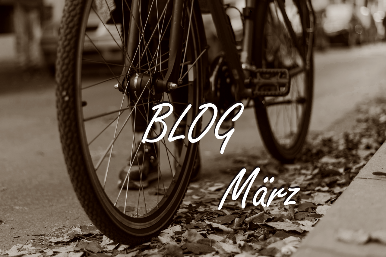Bildlink zu Blogbeitrag - Foto mit Fahrrad aus der Froschperspektive