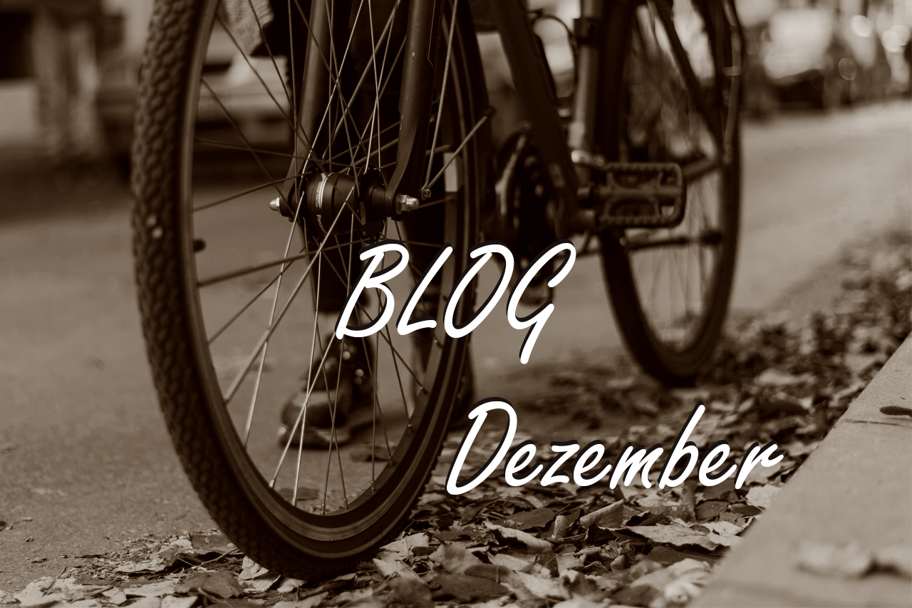 Bildlink zu Blogbeitrag - Foto mit Fahrrad aus der Froschperspektive