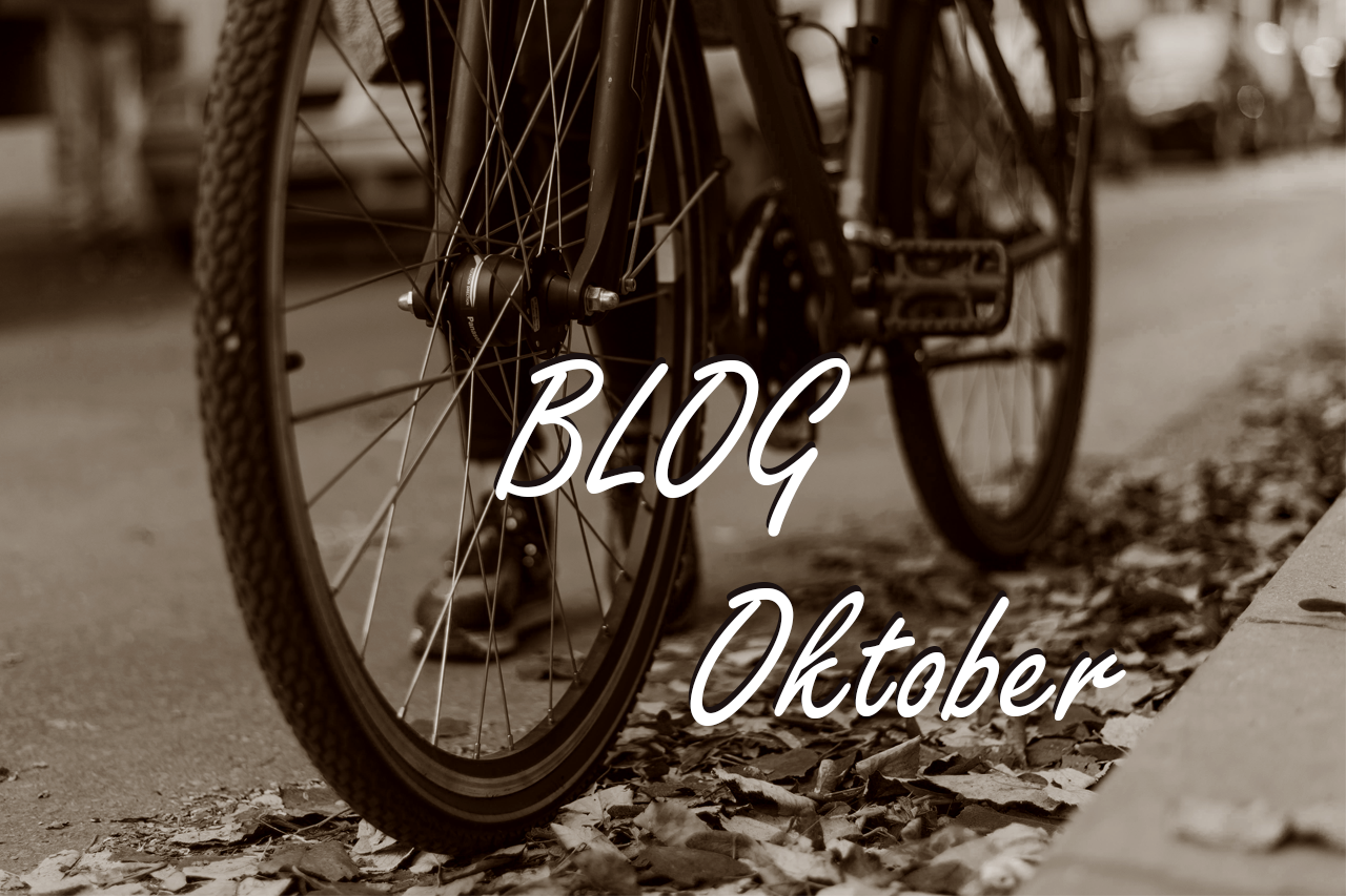 Bildlink zu Blogbeitrag - Foto mit Fahrrad aus der Froschperspektive