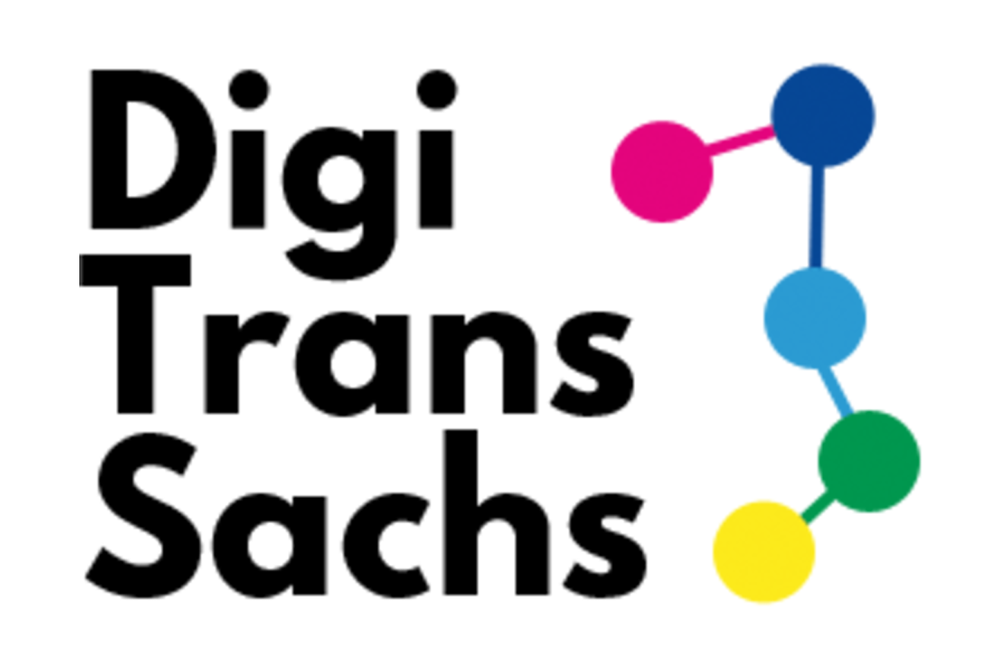 Logo featuring the wordmark 'DigiTransSachs'