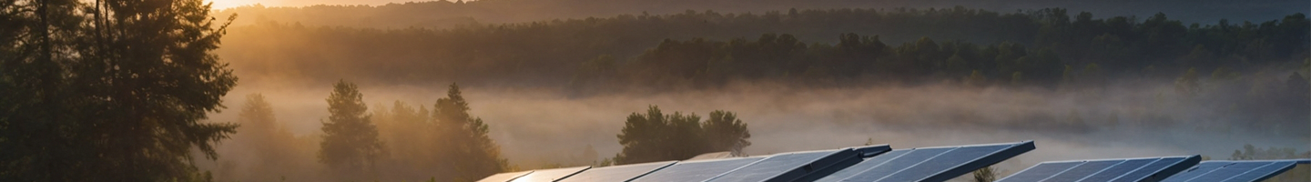 A solar farm in a field near a wood, a misty sunrise