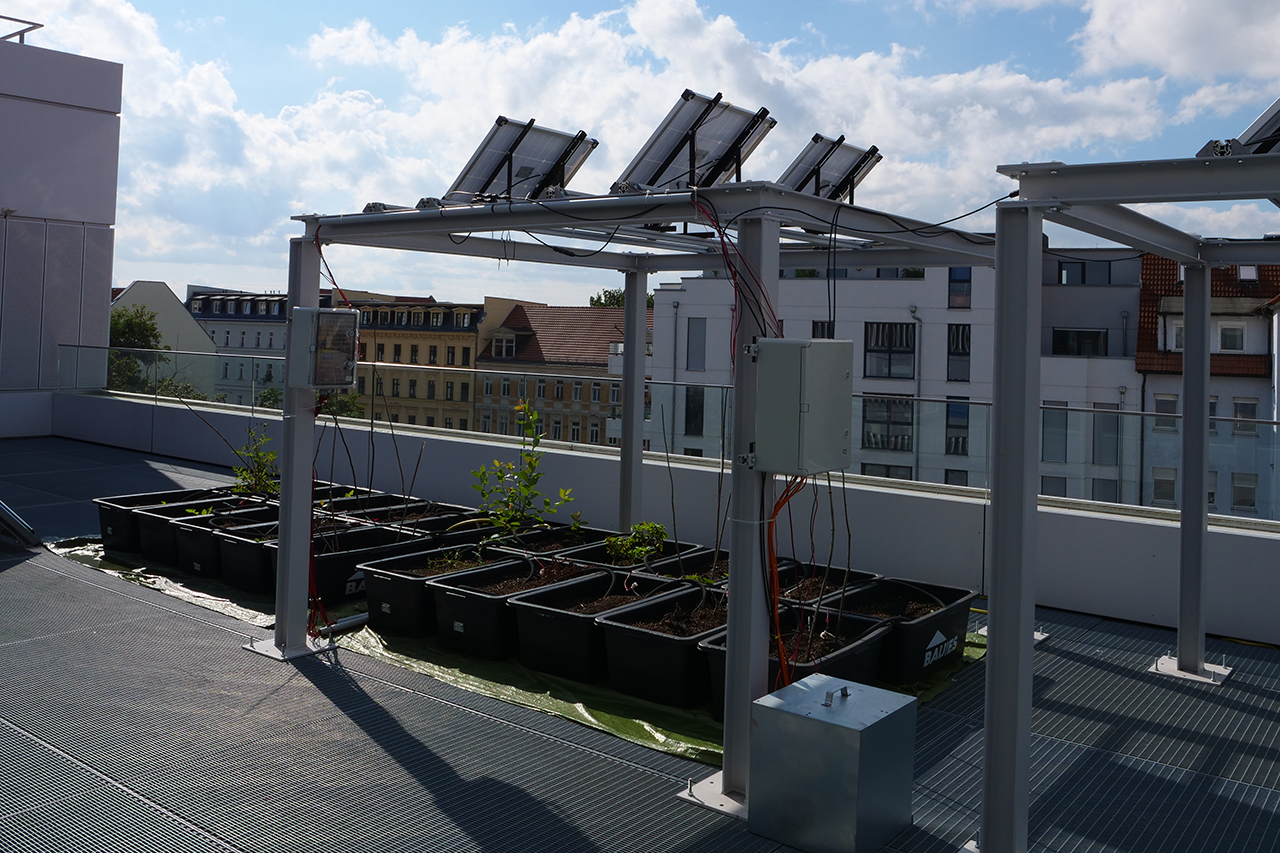 Foto des Versuchstandes auf dem Dach eines Gebäudes, Pflanzen mit Kübeln unter Mini-Photovolatikpanels, die darüber auf einem Gerüst befestigt sind, mit Messinstrumenten